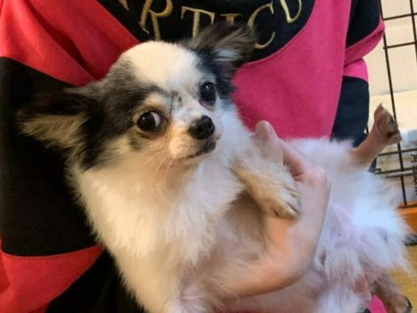 わおん草加西町（パート）の支援員求人メイン写真1