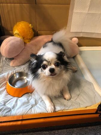 わおん草加小山(パート)の支援員求人の写真