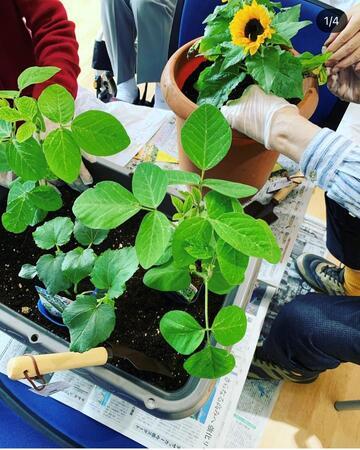 介護老人保健施設 サンセール武蔵野の介護職求人メイン写真5