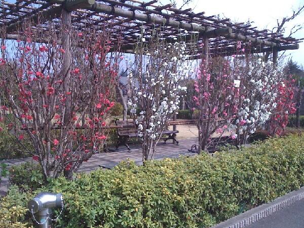 介護老人保健施設青葉の郷（常勤）の介護職求人メイン写真3