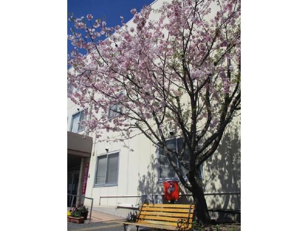 介護老人保健施設 さくら野（常勤）の准看護師求人サブ写真1