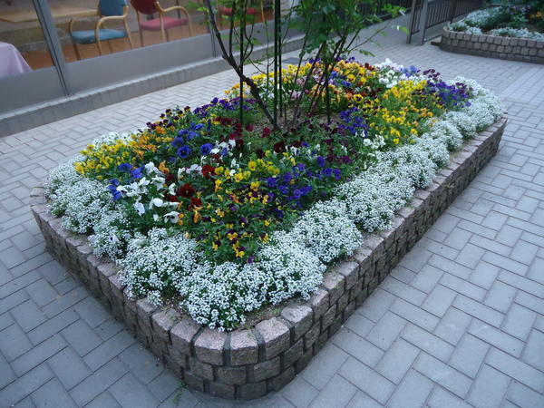 介護老人保健施設みそのぴあ（パート）の清掃員求人メイン写真2