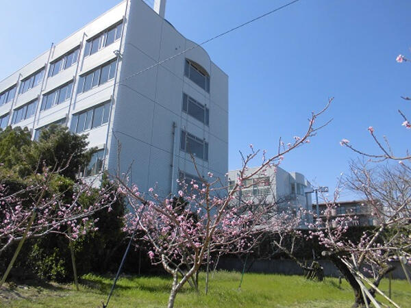 静岡広野病院介護医療院（常勤）の看護師求人メイン写真1