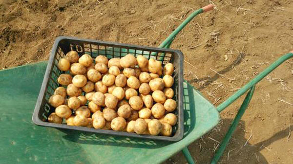 児童発達支援施設 桐友学園（パート）の保育士求人メイン写真2