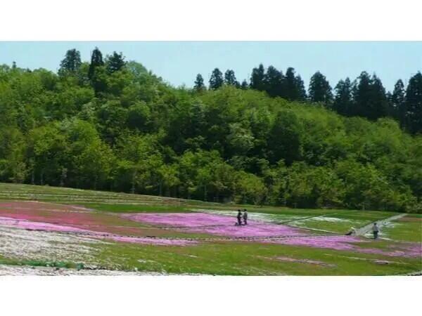 特別養護老人ホーム あぶるま苑（契約職員）の介護福祉士求人の写真