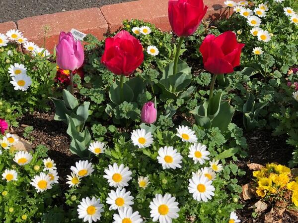 いちかわ翔裕園（常勤）のケアマネジャー求人メイン写真2