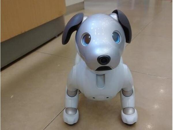 いよりこどもクリニック（パート）の看護師求人メイン写真2