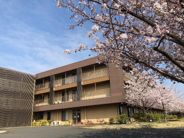 いちかわ翔裕園（常勤）のケアマネジャー求人の写真