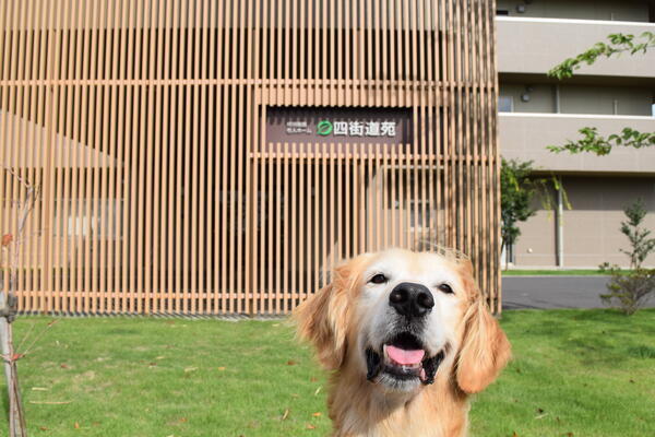 特別養護老人ホーム 四街道苑（パート）の准看護師求人メイン写真4