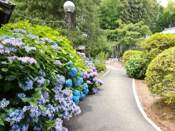 特別養護老人ホームはるぱてお大宮（常勤）の看護師求人メイン写真2