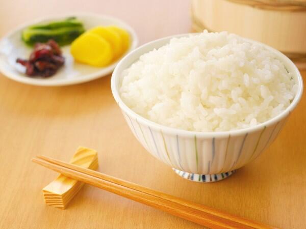 介護老人保健施設 ヒューマンシティ松山（常勤）の管理栄養士求人メイン写真3