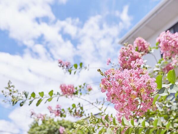 デイサービスセンター いらか（常勤）の介護福祉士求人メイン写真5