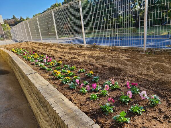 緑が丘はぐみの杜保育園（常勤）の保育士求人メイン写真3