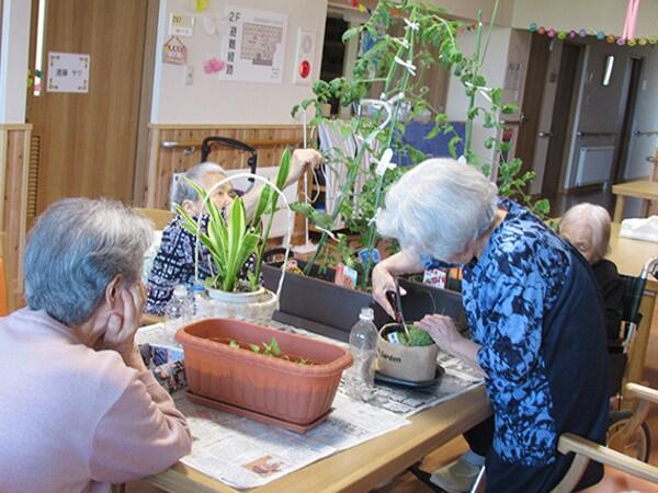 グループホーム　あさひの家 千歳（常勤）の介護福祉士求人メイン写真5