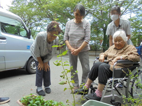 グループホームまんてん塩津（常勤）のケアマネジャー求人メイン写真3