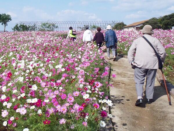地域密着型介護老人福祉施設　山の木（常勤）の介護福祉士求人メイン写真2
