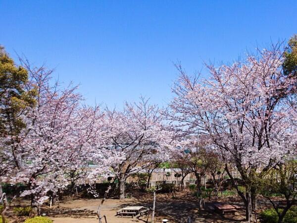 介護老人保健施設 ロータスケアセンター（パート）の介護福祉士求人メイン写真2