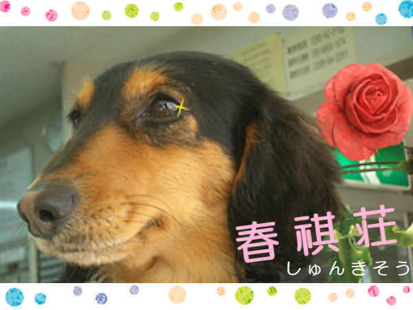 介護老人保健施設 春祺荘（常勤）の看護師求人の写真