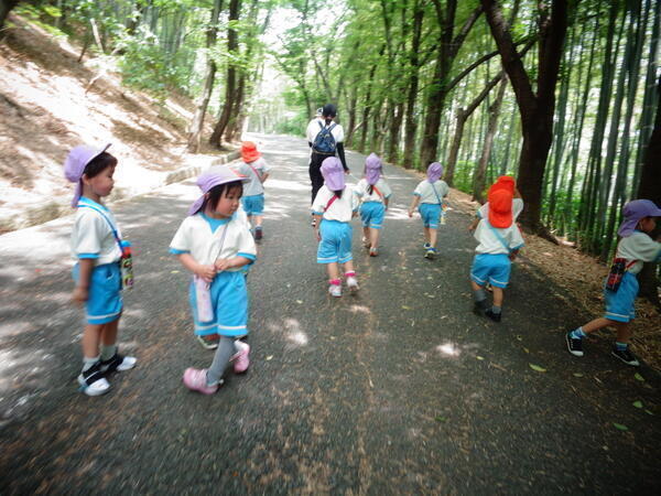 トレジャーキッズきょうばし保育園（パート）の保育士求人サブ写真1