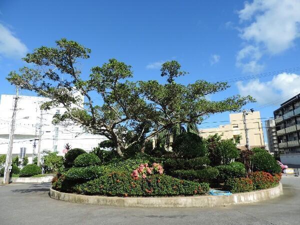 沖縄一条園居宅介護支援事業所（契約社員）のケアマネジャー求人メイン写真3
