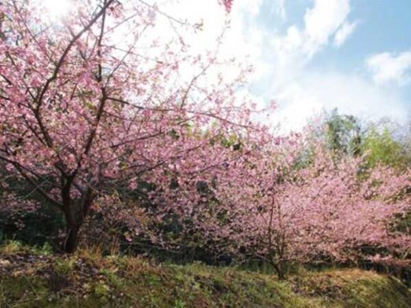 特別養護老人ホーム　ほしの郷（常勤）の介護福祉士求人メイン写真2