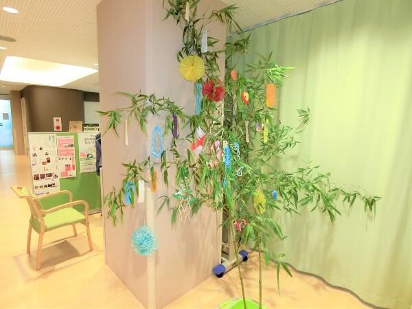 障害福祉サービス事業所 すみだ晴山苑（パート）の看護師求人メイン写真3