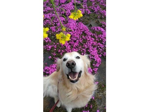 特別養護老人ホーム　四街道苑（パート）の介護職求人メイン写真4