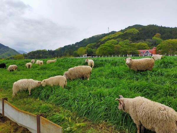 ハートウェーブ訪問看護リハビリステーション（常勤）の作業療法士求人メイン写真4