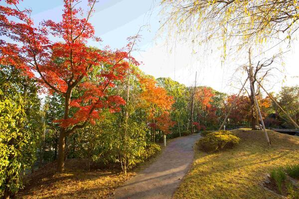 岡村医院 腎クリニック（正職員）の准看護師求人メイン写真5
