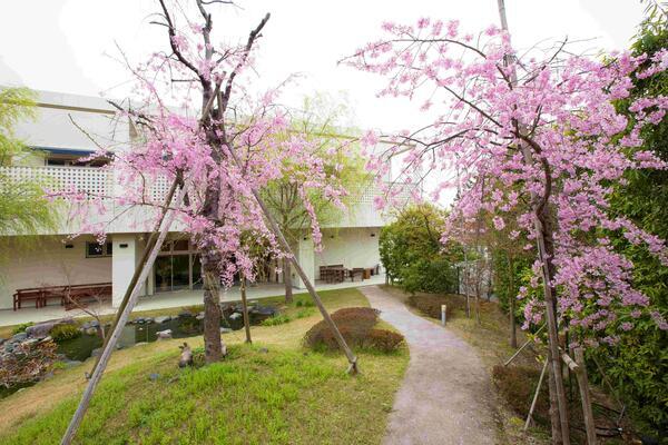 岡村医院 腎クリニック（正職員）の准看護師求人メイン写真4
