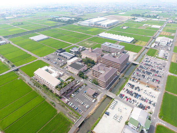 医療法人和光会（ウェルビーイング推進室/常勤） の保健師求人の写真