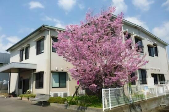 医療法人天心堂 グループホームさくら荘（常勤） の介護福祉士求人の写真
