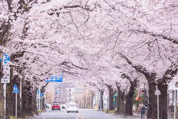 ハートウェーブ訪問看護リハビリステーション（常勤）の作業療法士求人メイン写真3