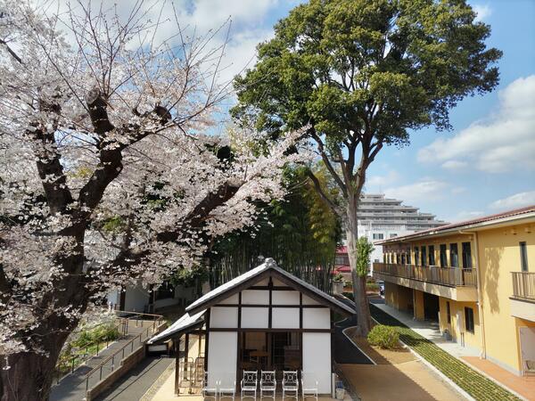 特別養護老人ホームはるぱてお大宮（常勤）の看護師求人メイン写真3