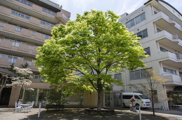 楽寿の園 高齢者総合福祉エリア(常勤)の看護師求人の写真