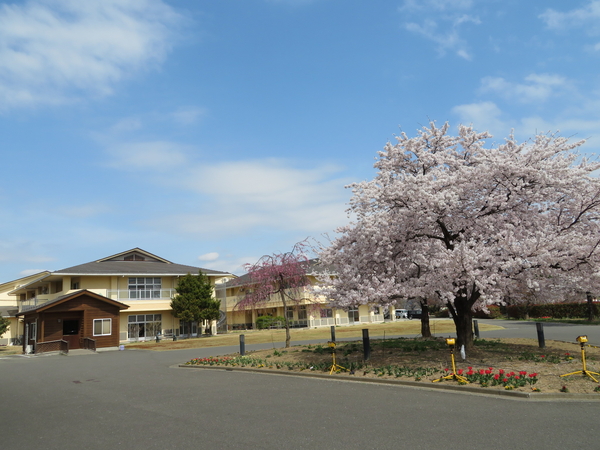 すこやかの里特別養護老人ホーム（パート）の介護職求人メイン写真3