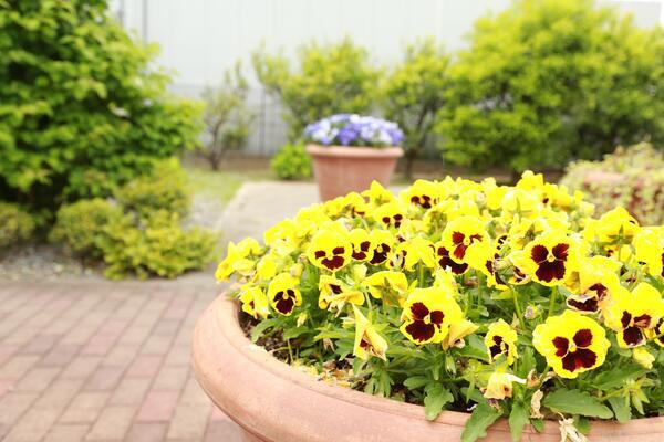 グループホームこまきの泉（夜勤専従）の介護福祉士求人メイン写真5