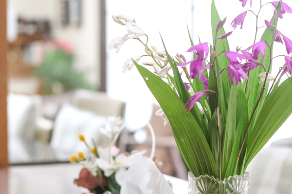 シェフズデイサービス 湘南（パート）の送迎ドライバー求人メイン写真3