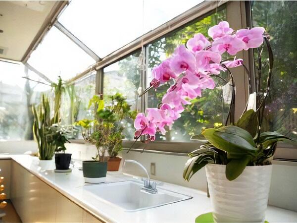 さくら整形外科・内科・ リハビリテーション科医院（常勤）の介護職求人メイン写真4