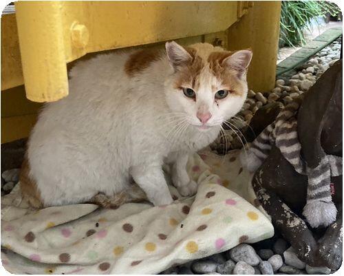 セレッソ日吉（パート）の介護福祉士求人メイン写真5