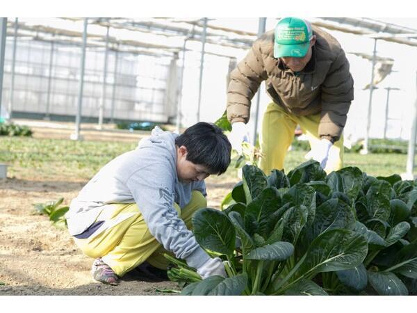 障害者支援施設庄内（パート）の看護師求人メイン写真2