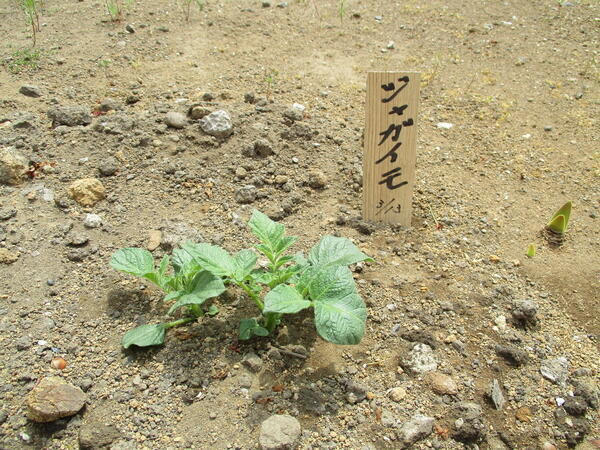 特別養護老人ホーム 新生ホーム(パート)の看護師求人サブ写真2