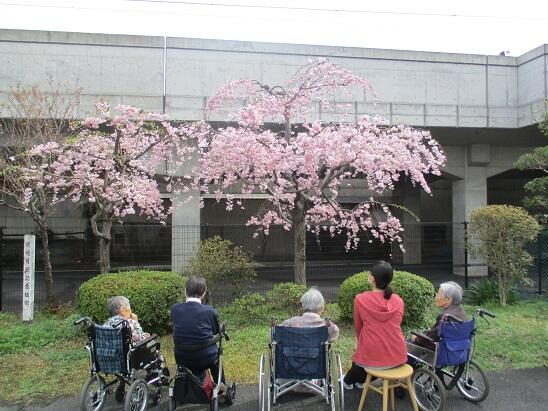 地域密着型特別養護老人ホーム メルシーうずまさ（常勤）の介護職求人メイン写真5