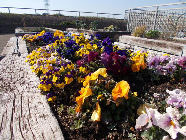 セレッソ日吉（常勤）の介護福祉士求人メイン写真3
