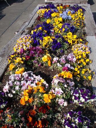 セレッソ日吉（パート）の介護福祉士求人メイン写真3