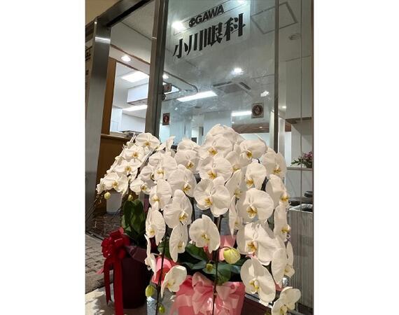 小川眼科（眼科検査員 / パート） のその他求人メイン写真2