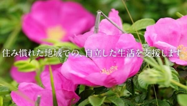 ホットライン21居宅介護支援事業所（常勤）のケアマネジャー求人メイン写真3