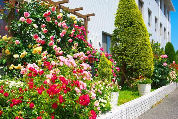 介護付有料老人ホームフラワーガーデン（パート）の介護職求人メイン写真2