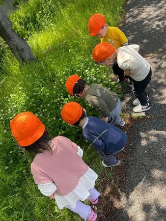 ぬくもりのおうち保育 桜町園（パート）の保育士求人メイン写真4