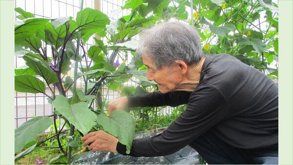 特別養護老人ホームにいだの里（常勤/契約職員）の介護職求人メイン写真2